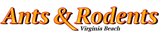 Virginia Beach Ant Exterminator & Rodent Control Company Logo